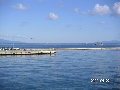 s_PICT0087s.png